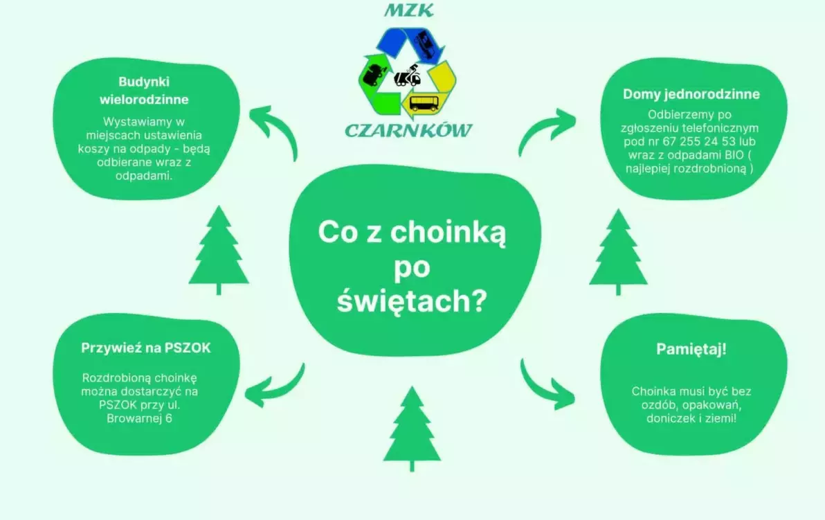 Zdjęcie do Co z choinką po świętach?